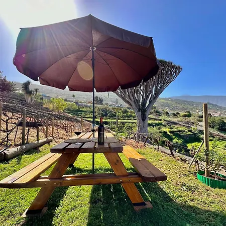 Ferienhaus Oscar Burchard La Orotava