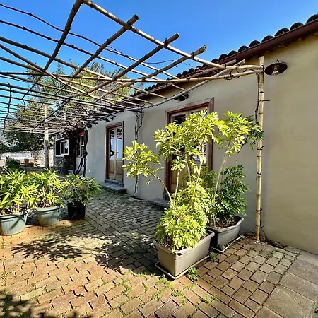 Oscar Burchard Holiday home *