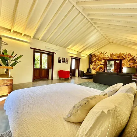 Holiday home Oscar Burchard La Orotava