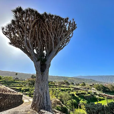 펜션 Oscar Burchard