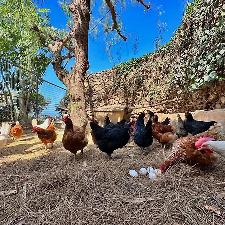 Сasa de vacaciones Oscar Burchard *