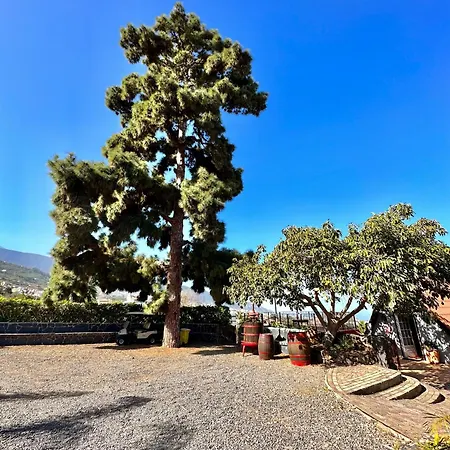 Oscar Burchard Holiday home La Orotava