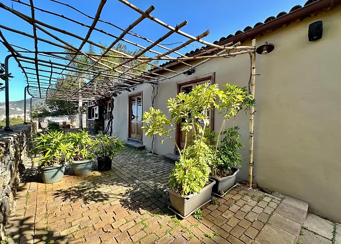 Oscar Burchard Vakantiehuis *