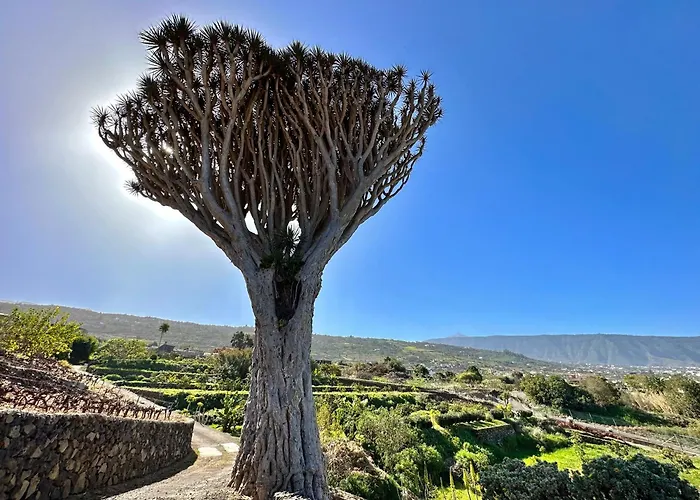 Vakantiehuis Oscar Burchard