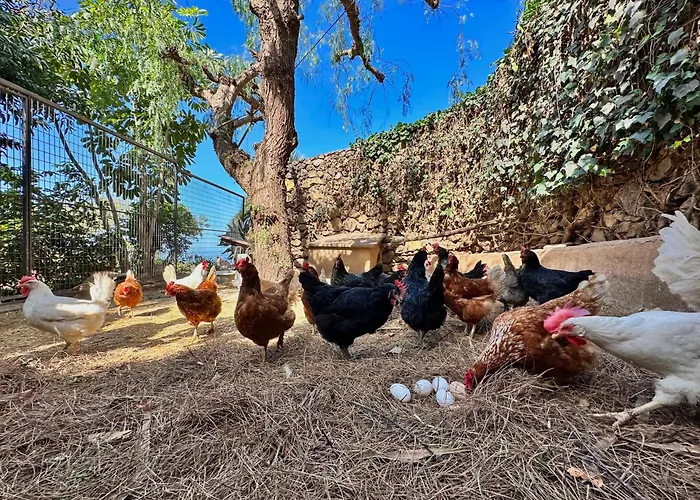 Dom wakacyjny Oscar Burchard *